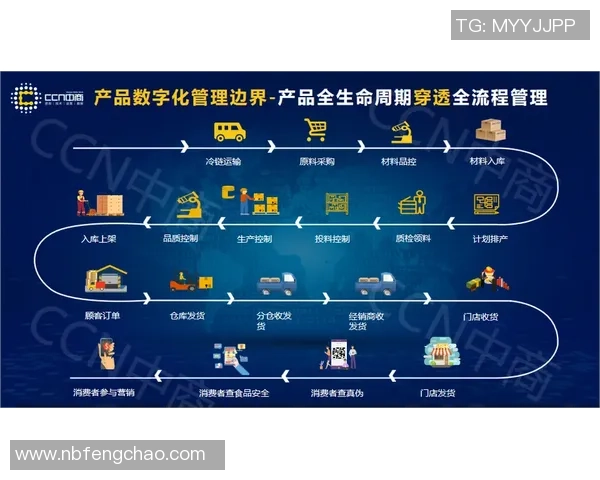 足球ata：探索足球世界的数字化转型与未来发展趋势分析